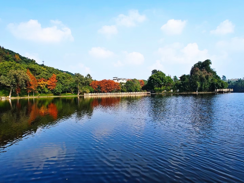 星湖美景.jpg